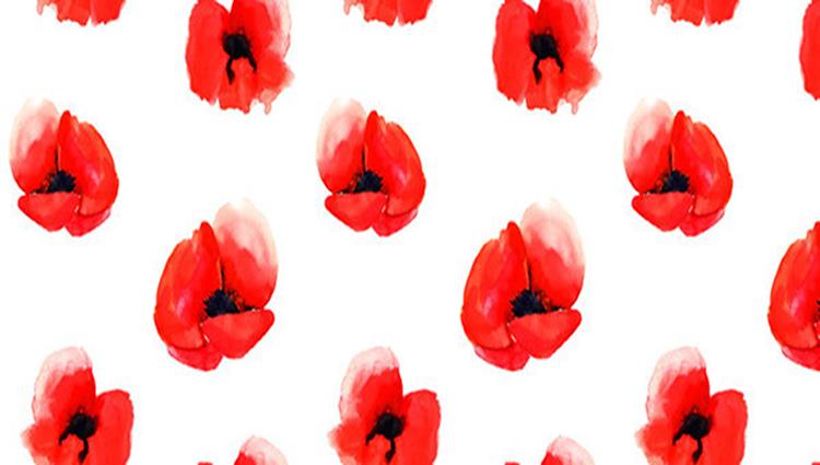 Custom Printing Silk Fabric Supplier-4